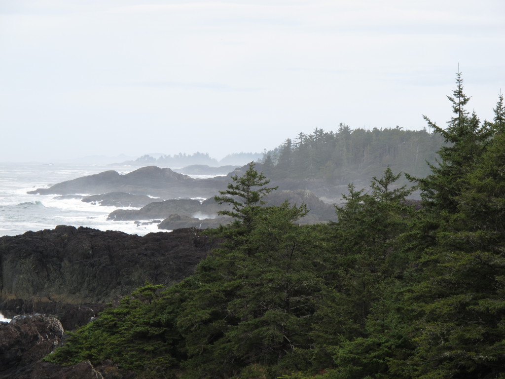 Rocky coastline along the Wild Pacific Trail in Ucluelet, BC