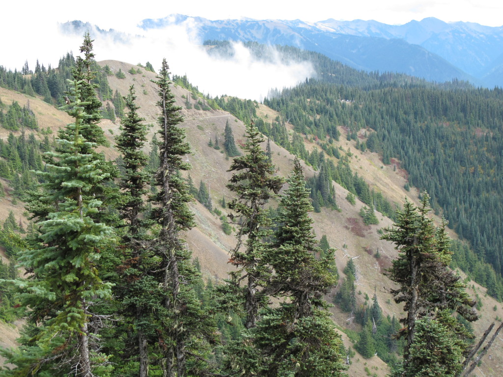 Clouds spilling through mountain valleys.