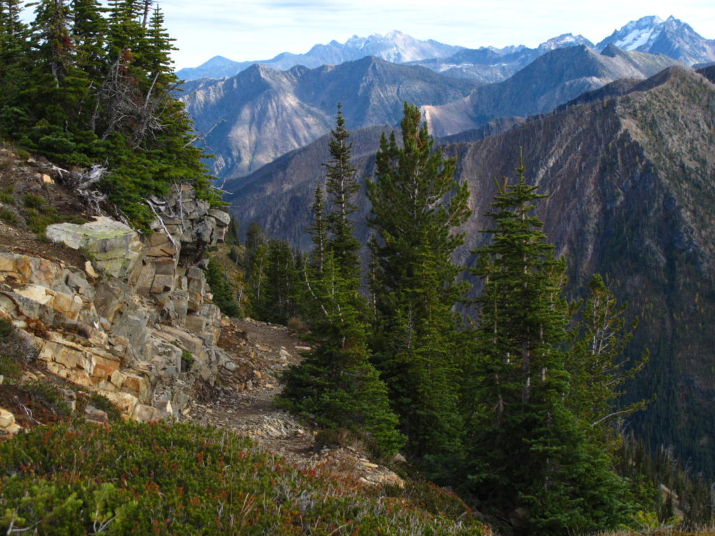 Image of the PCT near Harts Pass 