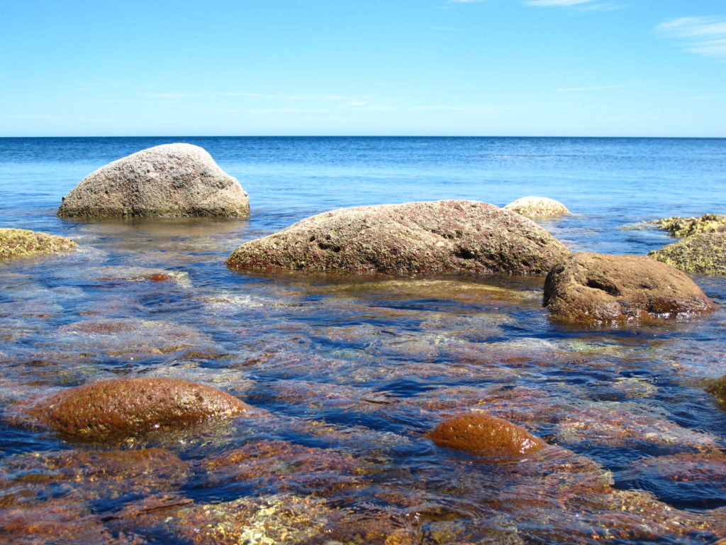 Close-up of rocks and barnacles in tropical waters