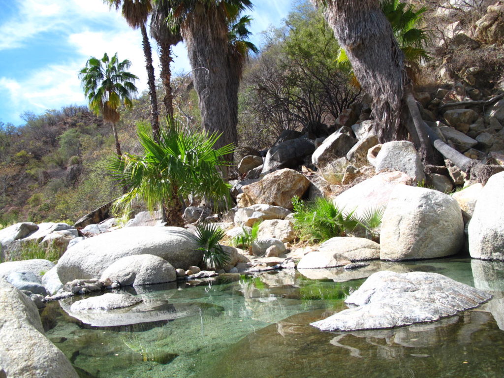 Hot springs at Rancho Ecológico Santa Rita