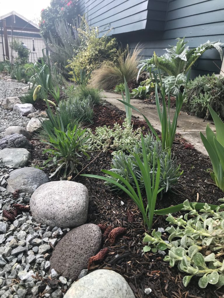 Example of a garden bed between house and driveway.